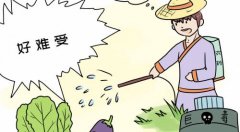 農(nóng)殘檢測(cè)儀！食品安全檢測(cè)中不可少的一環(huán)