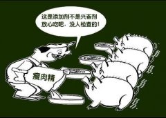 土雞蛋一天攝入多少合適？