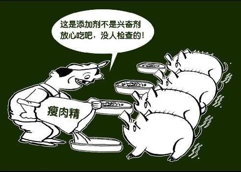 土雞蛋一天攝入多少合適？
