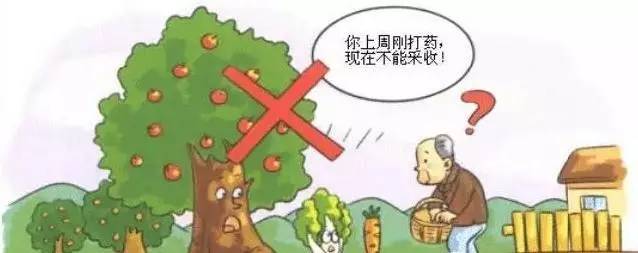  食品安全如何保證？