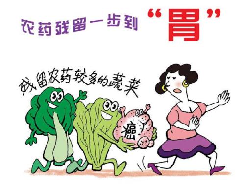 白菜農(nóng)殘你知道多少呢？
