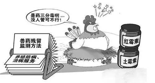 如何利用食品安全檢測(cè)儀來(lái)維護(hù)食品安全？