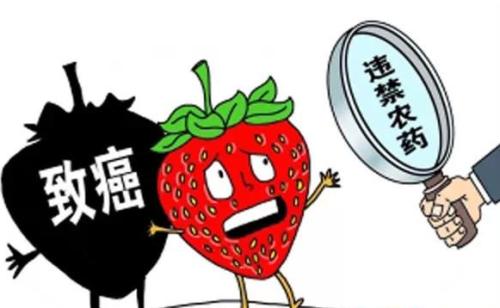 孩童的飲食安全如何注意？