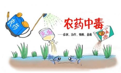 合適的蔬菜如何來選擇？